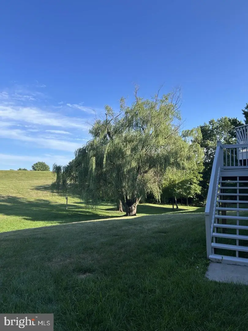 920 Burning Tree Ct, Westminster, MD 21158 - #3