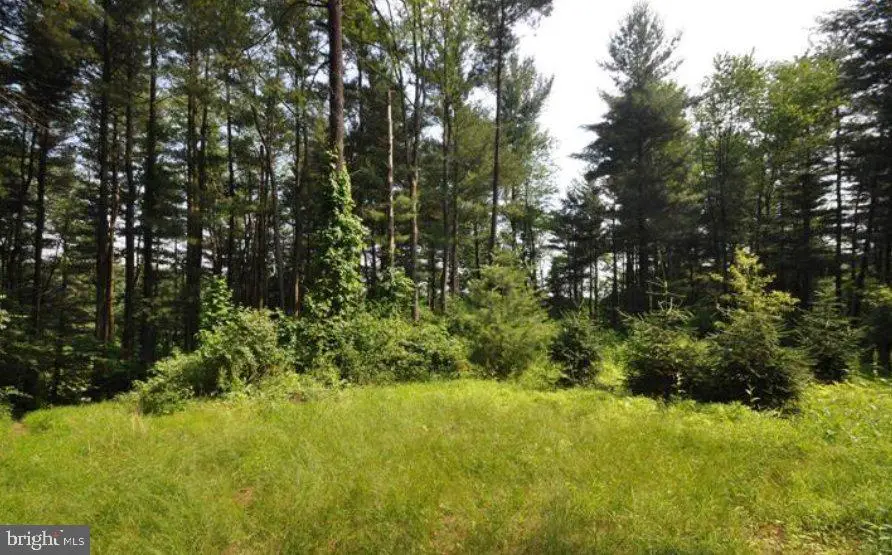 Florence Dr, Westminster, MD 21158 - #1