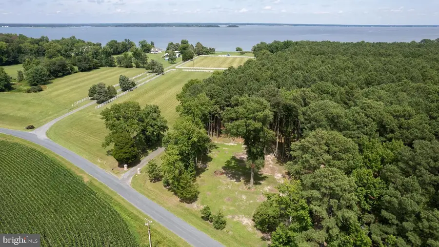 Horns Point Rd, Cambridge, MD 21613 - Image #2