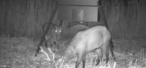 3241 Robbins Rd, Crapo, MD 21626 - Image #2