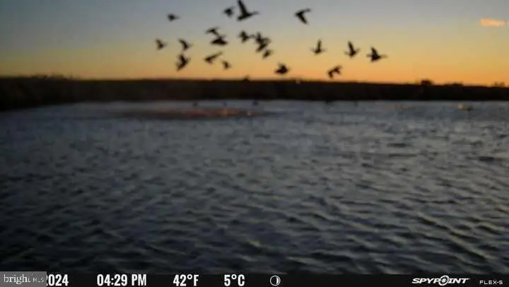 3241 Robbins Rd, Crapo, MD 21626 - Image #3