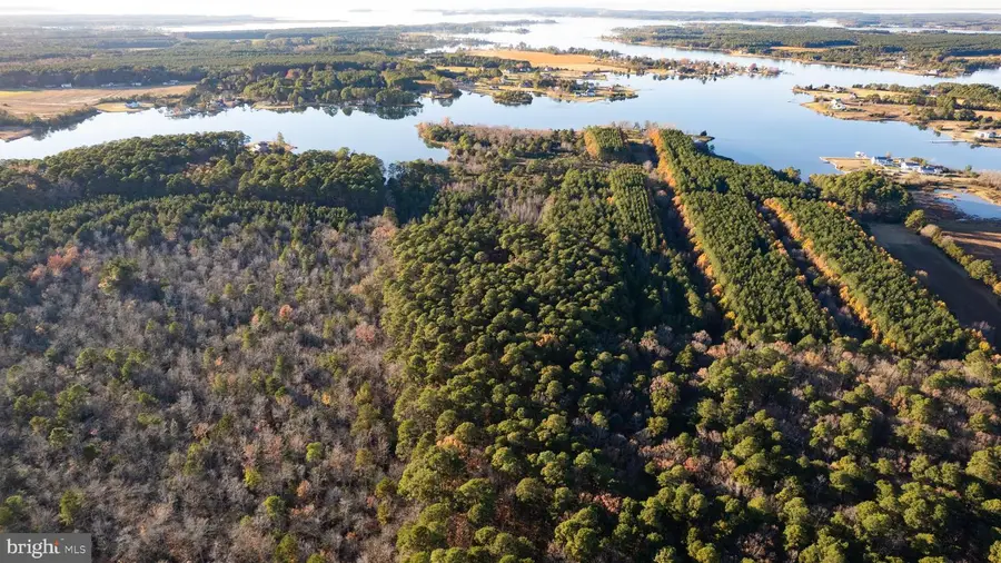 Gregory Rd, Cambridge, MD 21613 - Image #3