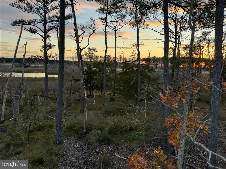 Robinson Neck Rd, Taylors Island, MD 21669 - Image #2