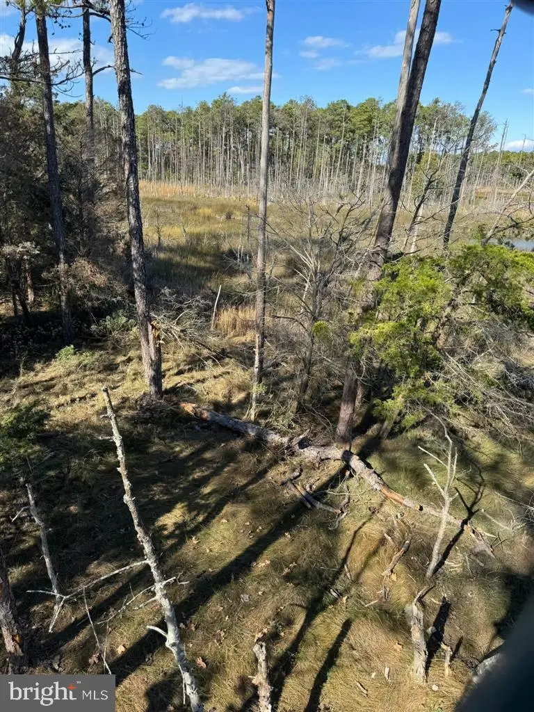 Robinson Neck Rd, Taylors Island, MD 21669 - Image #3