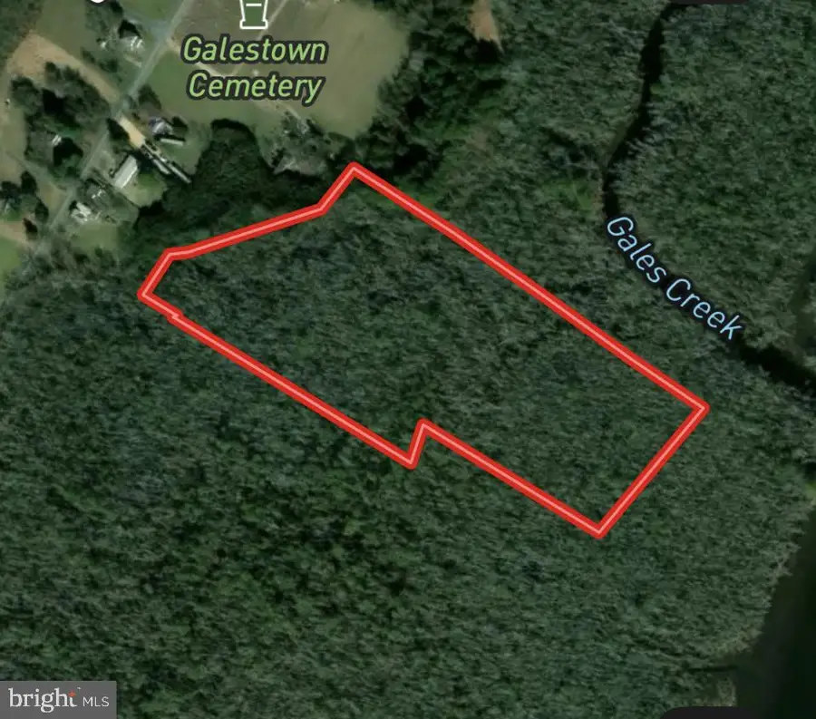 0 Calloway Wharf Rd, Rhodesdale, MD 21659 - Image #2