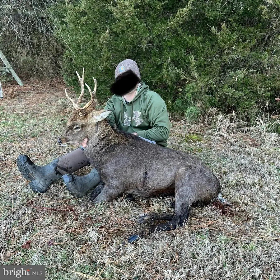 0 Calloway Wharf Rd, Rhodesdale, MD 21659 - Image #3