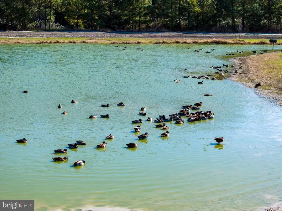 964 Taylors Island Rd, Madison, MD 21648 - Image #2