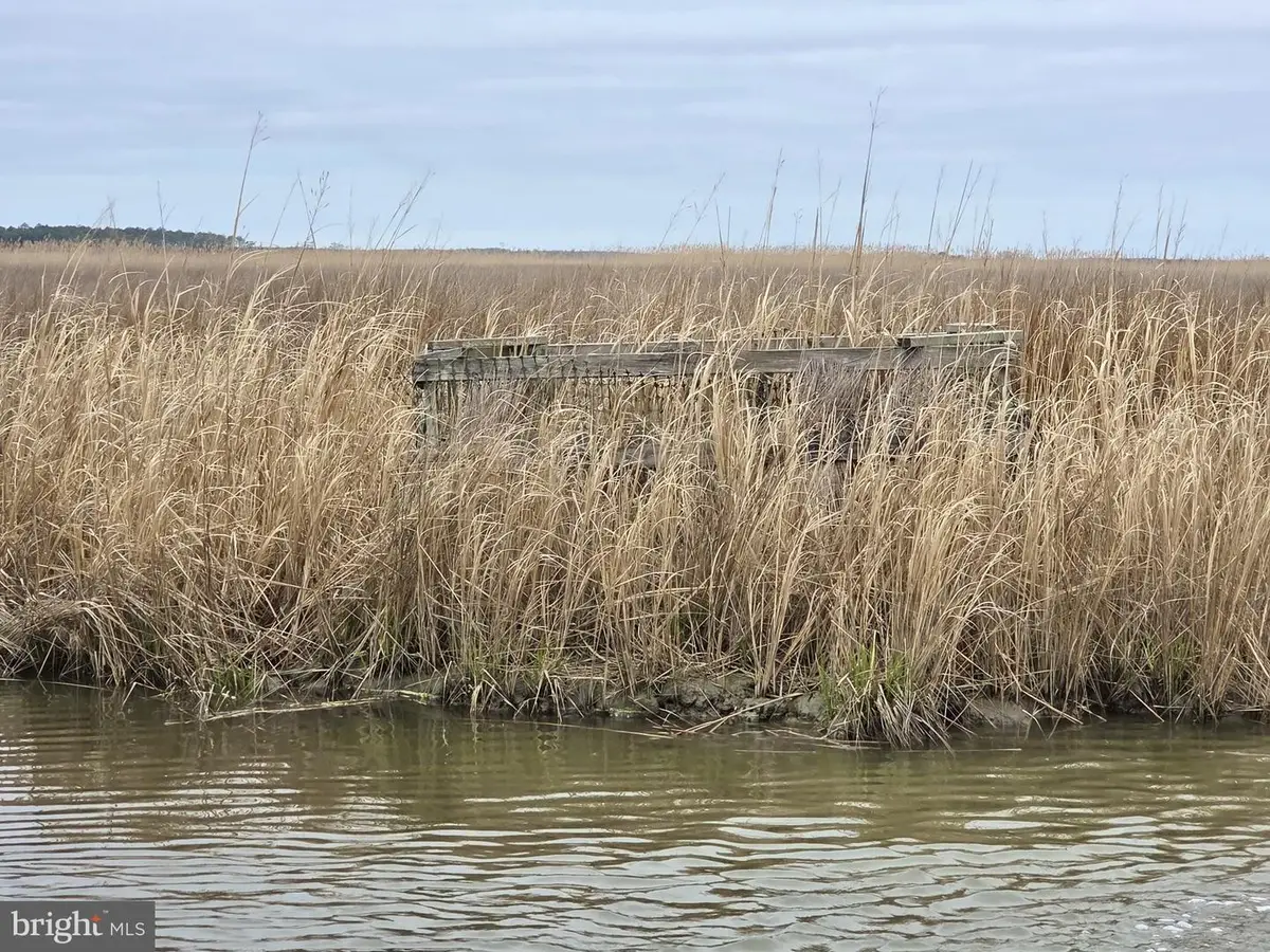 Duck, Sika & Waterfowl-- Muskrat Hbr, Crapo, MD 21626 - Image #1
