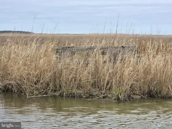 Duck, Sika & Waterfowl-- Muskrat Hbr, CRAPO, MD 21626