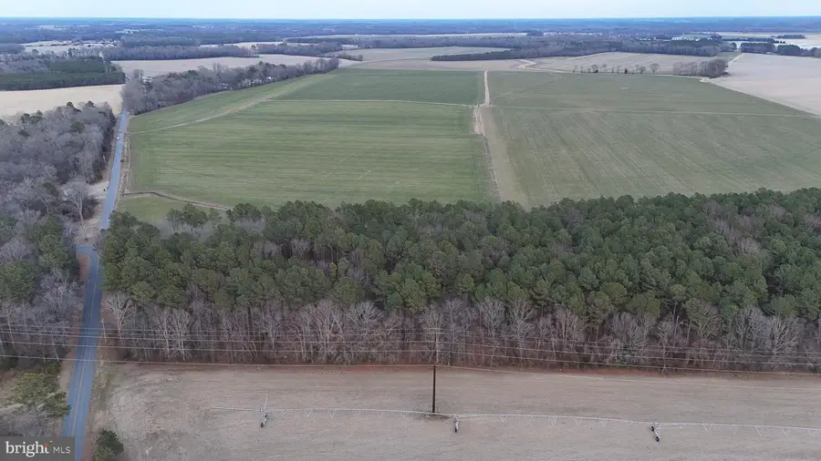 Bobtown Rd, Hurlock, MD 21643 - Image #3