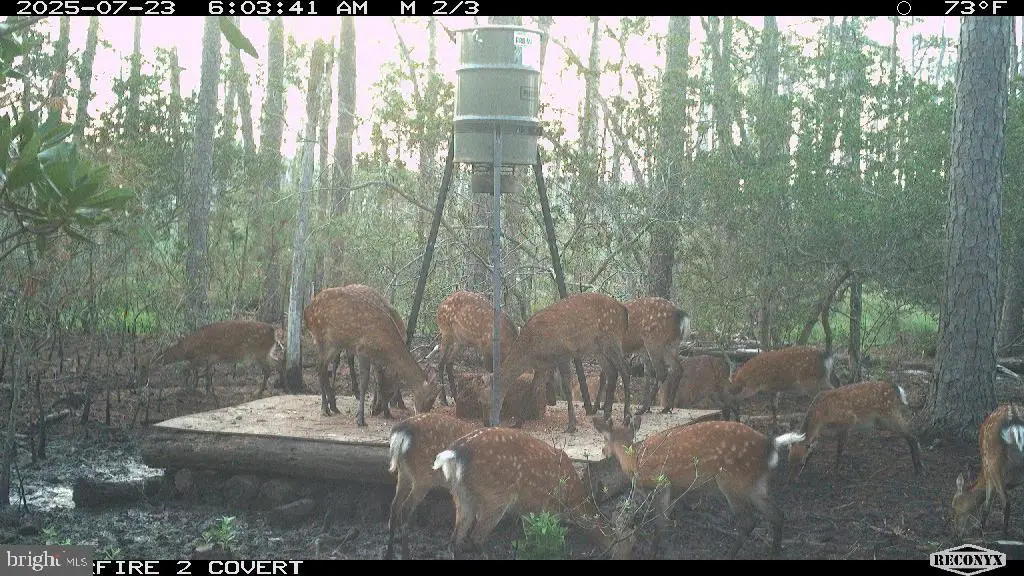 2257 Wingate Bishops Head Rd, Wingate, MD 21675 - Image #1