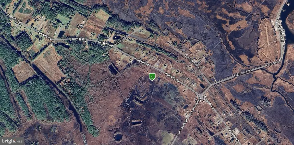 2625 Toddville Rd, Toddville, MD 21672 - #1