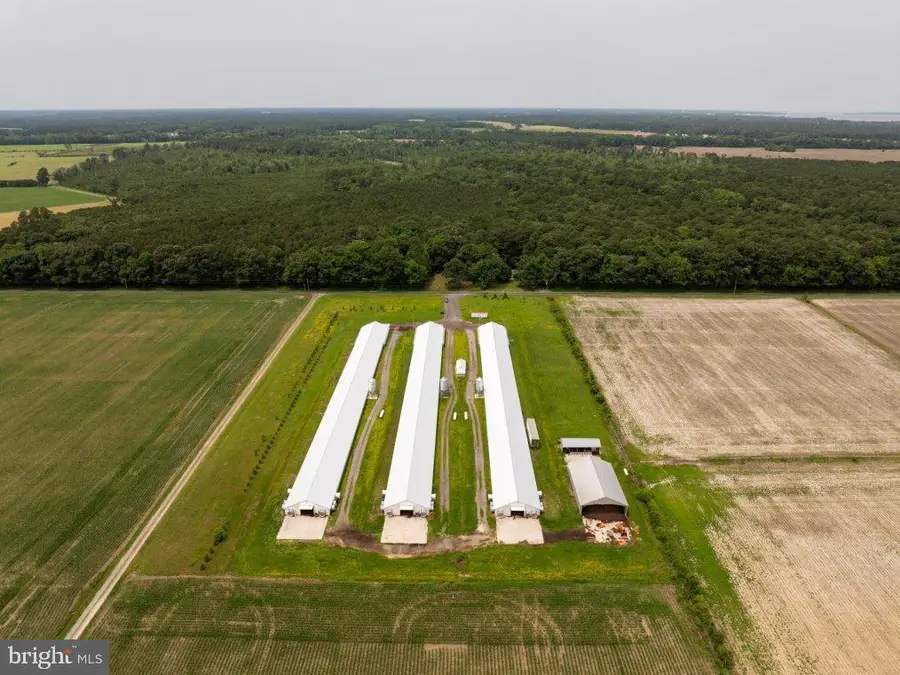 Beaver Neck Village Rd, Cambridge, MD 21613 - #3