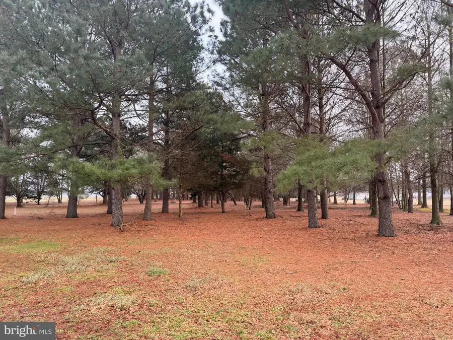 6565 Cabin Ridge Rd, Hurlock, MD 21643 - #3