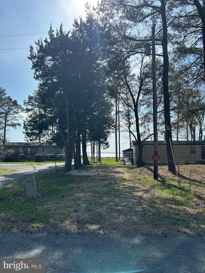 Bay Shore Rd, Taylors Island, MD 21669 - #2