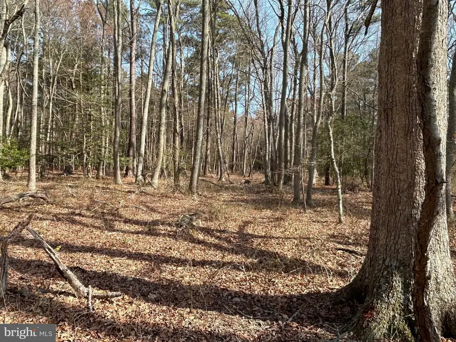 Bay Shore Rd, Taylors Island, MD 21669 - #3