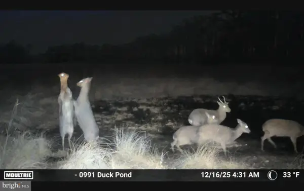 2839 Lakesville Crapo Rd, CHURCH CREEK, MD 21622