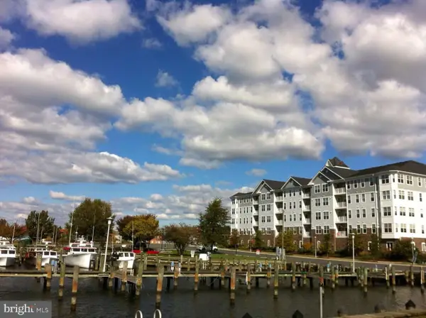 700 Cattail Cv #104, CAMBRIDGE, MD 21613
