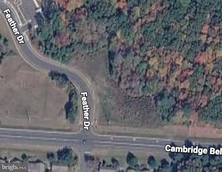 Stone Boundary Rd, Cambridge, MD 21613 - #1