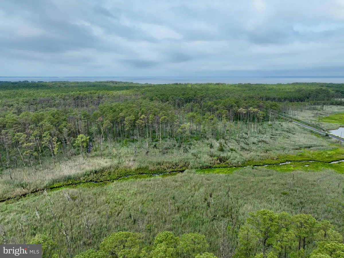 0 Hoopers Neck Rd, Taylors Island, MD 21669 - #1