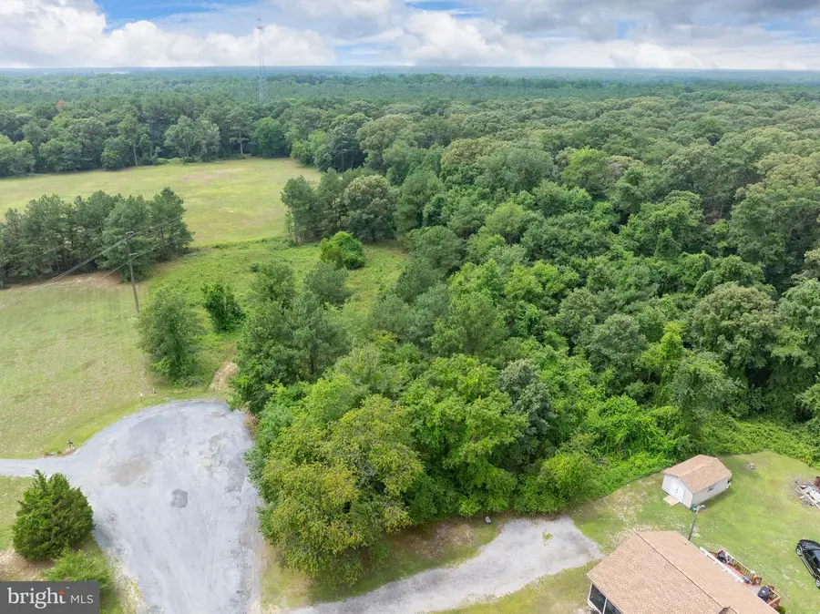 5600 Federal Hill Rd, Federalsburg, MD 21632 - #3