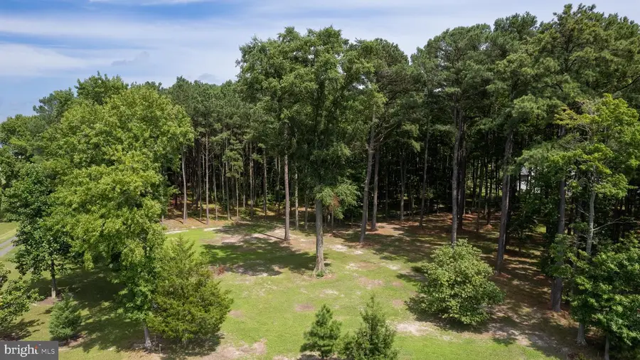 Horns Point Rd, Cambridge, MD 21613 - #3