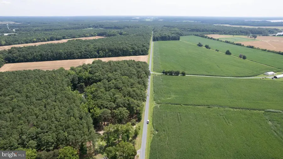 Horns Point Rd, Cambridge, MD 21613 - #3