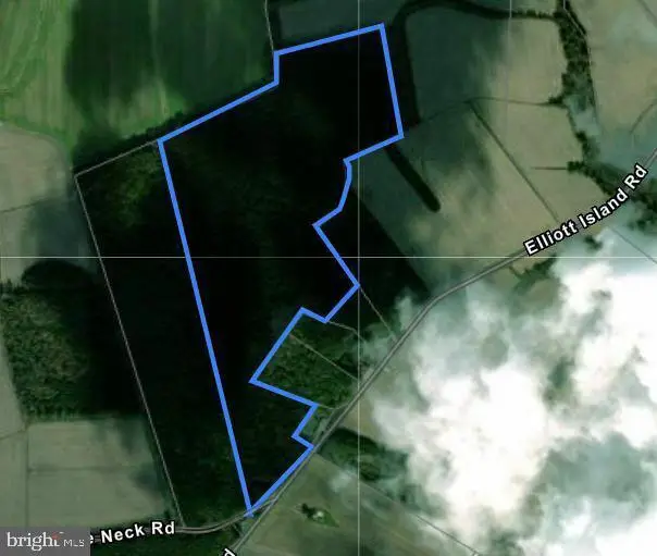 Elliott Island Rd, Vienna, MD 21869 - #1