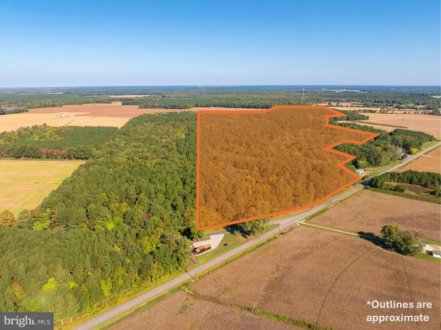Elliott Island Rd, Vienna, MD 21869 - #2