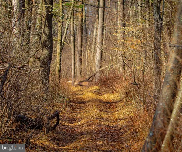 Quirauk School Rd, SABILLASVILLE, MD 21780