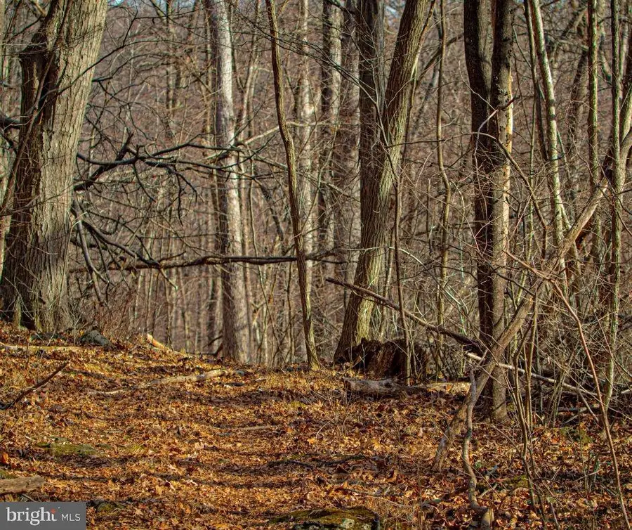 Quirauk School Rd, Sabillasville, MD 21780 - Image #2