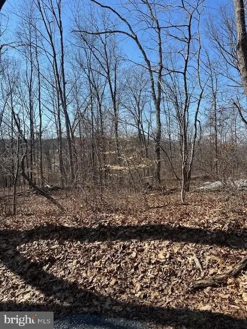 10712 Etzler Mill Rd, Woodsboro, MD 21798 - #2