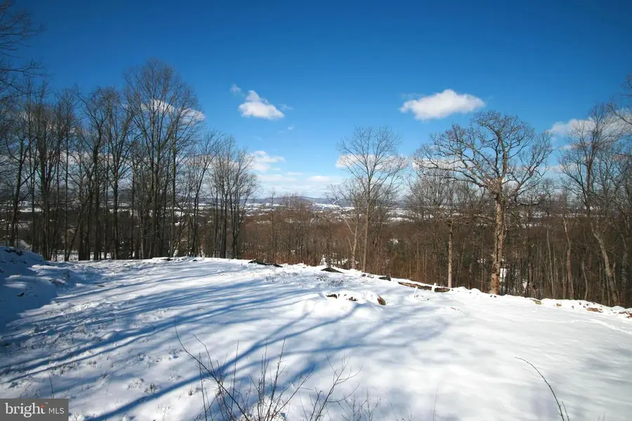 8511 Rosebud Ct, Middletown, MD 21769 - #2