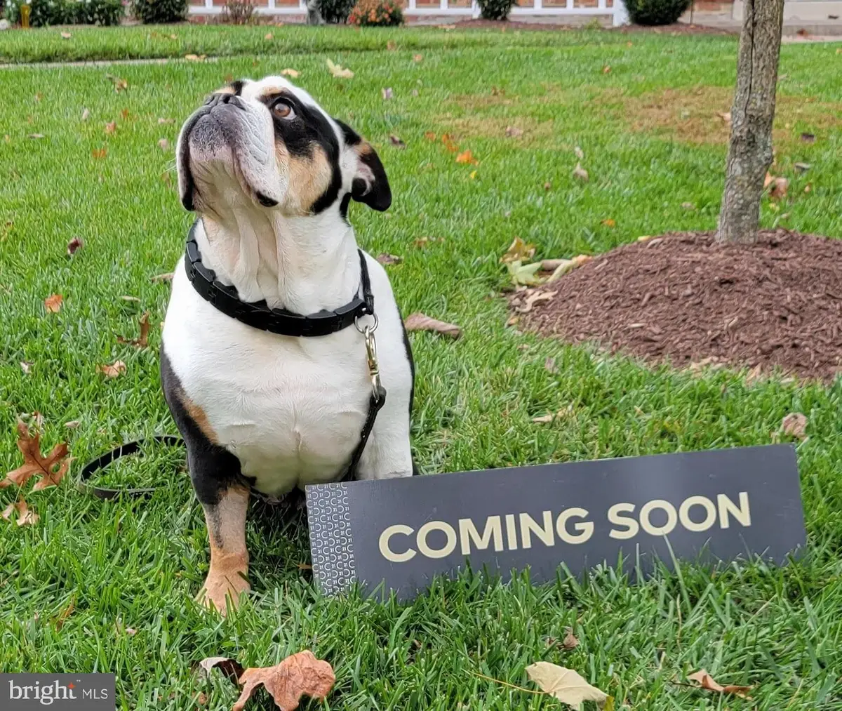 2501 Catoctin Ct #5 1d, Frederick, MD 21702 - #1