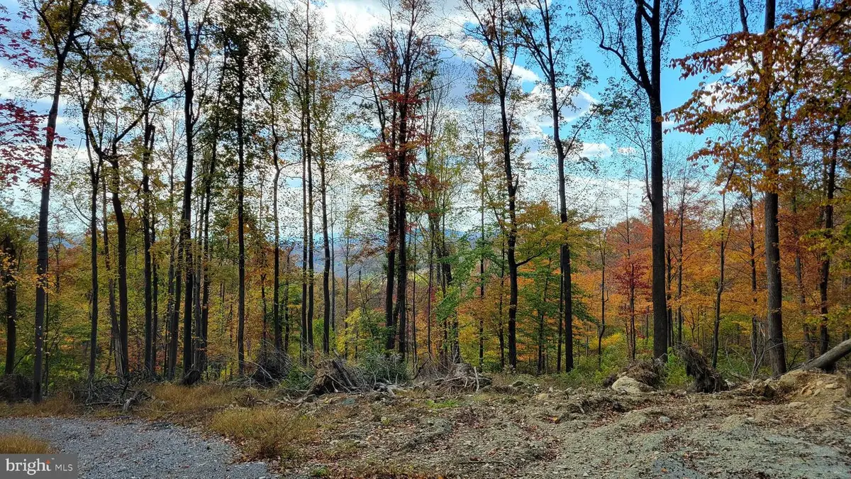 4460 Middlepoint Rd, Myersville, MD 21773 - #1