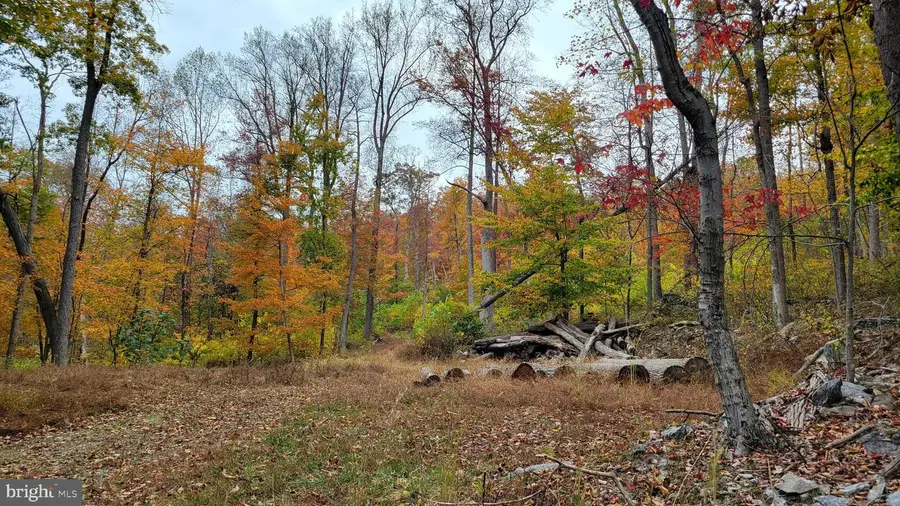 4460 Middlepoint Rd, Myersville, MD 21773 - #2