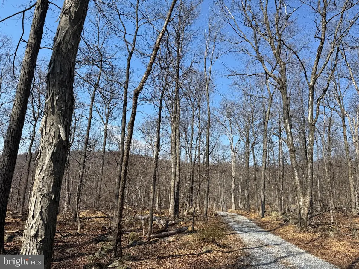 Middle Point Rd, Myersville, MD 21773 - #1
