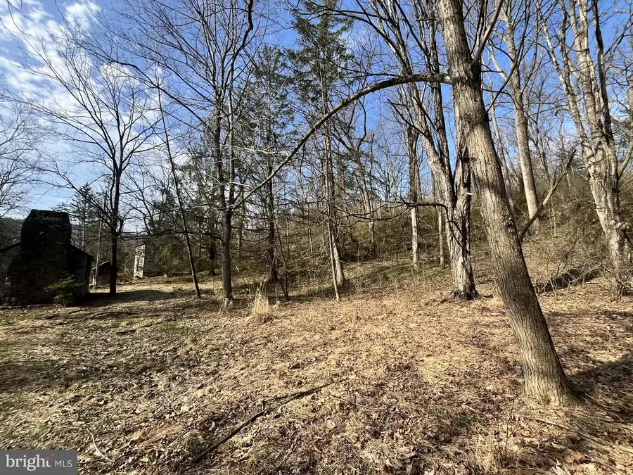 17310 Sunshine Trl, Sabillasville, MD 21780 - #2