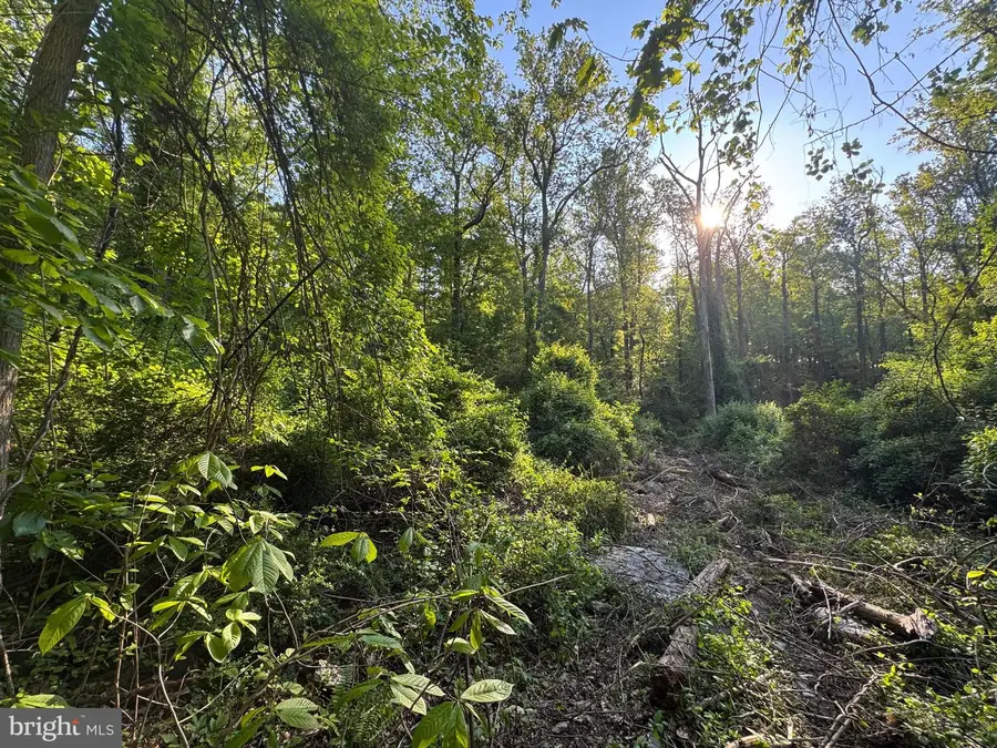 Edgemont Rd, Frederick, MD 21702 - #2