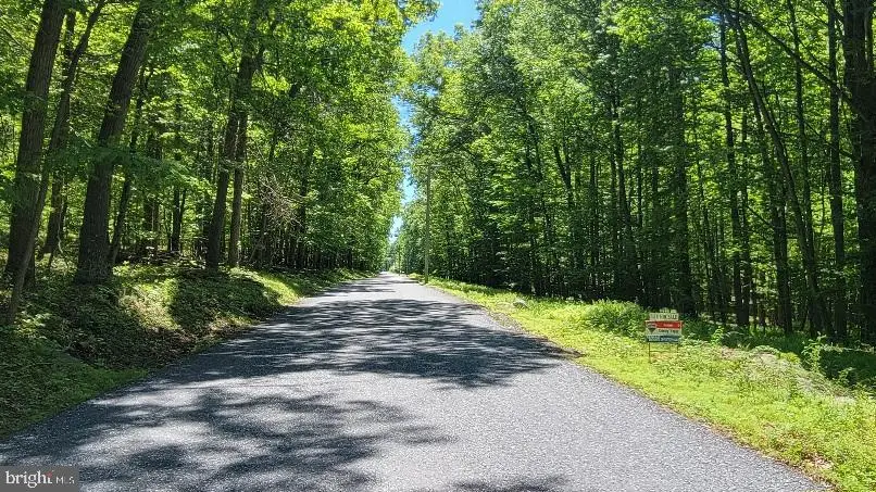 Mink Farm Rd, Thurmont, MD 21788 - #3