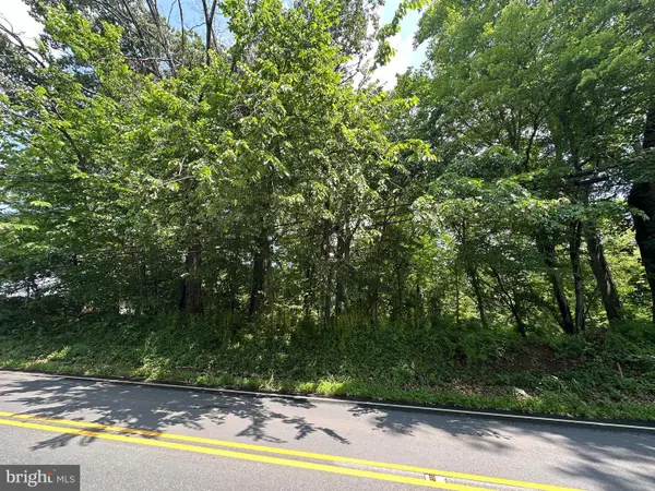 Tract 1: .15+/- Acres Lot 107 W Potomac St, BRUNSWICK, MD 21716