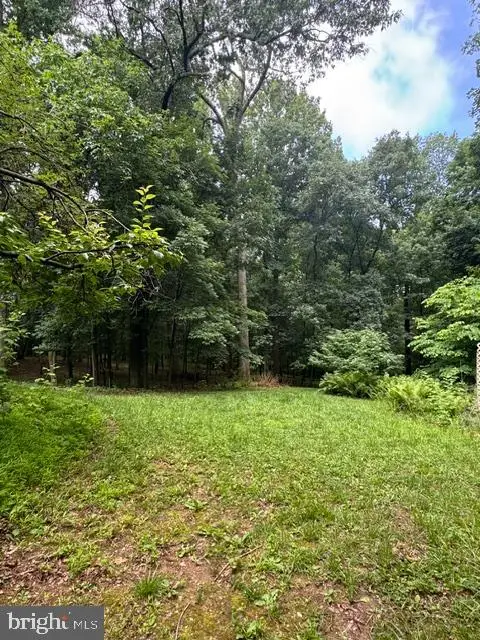 9810 Woodsboro Rd, Frederick, MD 21701 - #3