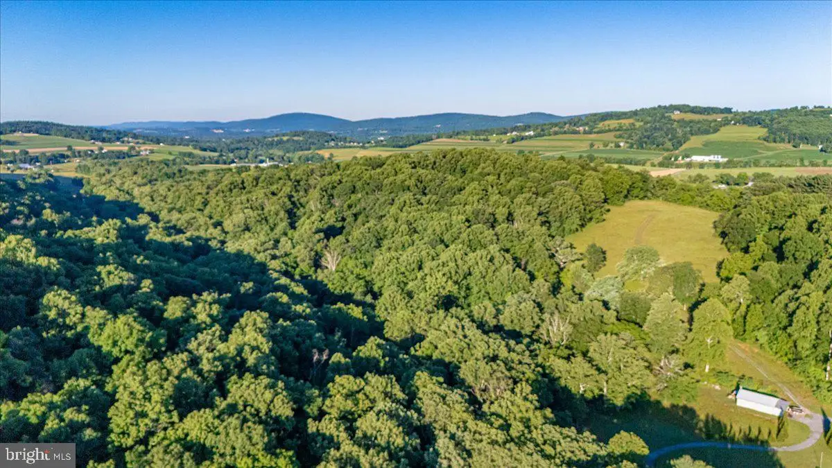11213 Wolfsville Rd, Myersville, MD 21773 - #1