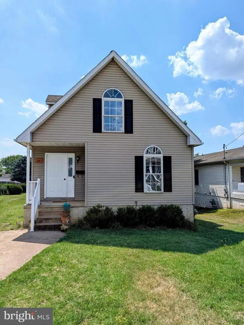 303 Catoctin Ave, Frederick, MD 21701 - #1