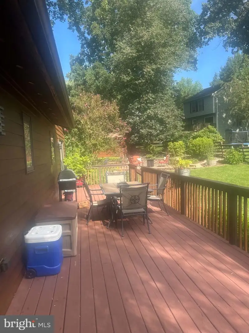 10206 Ladoga Pl, New Market, MD 21774 - #3