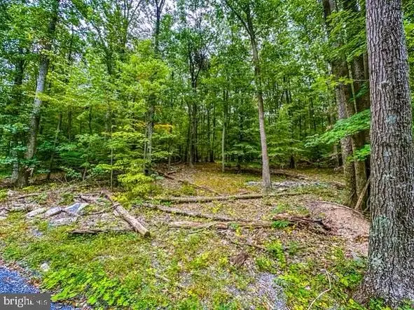 Rum Springs Rd, Myersville, MD 21773 - #3
