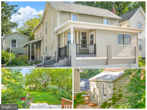 205 W B St, BRUNSWICK, MD 21716