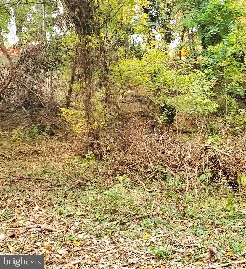 East D St, Brunswick, MD 21716 - #3