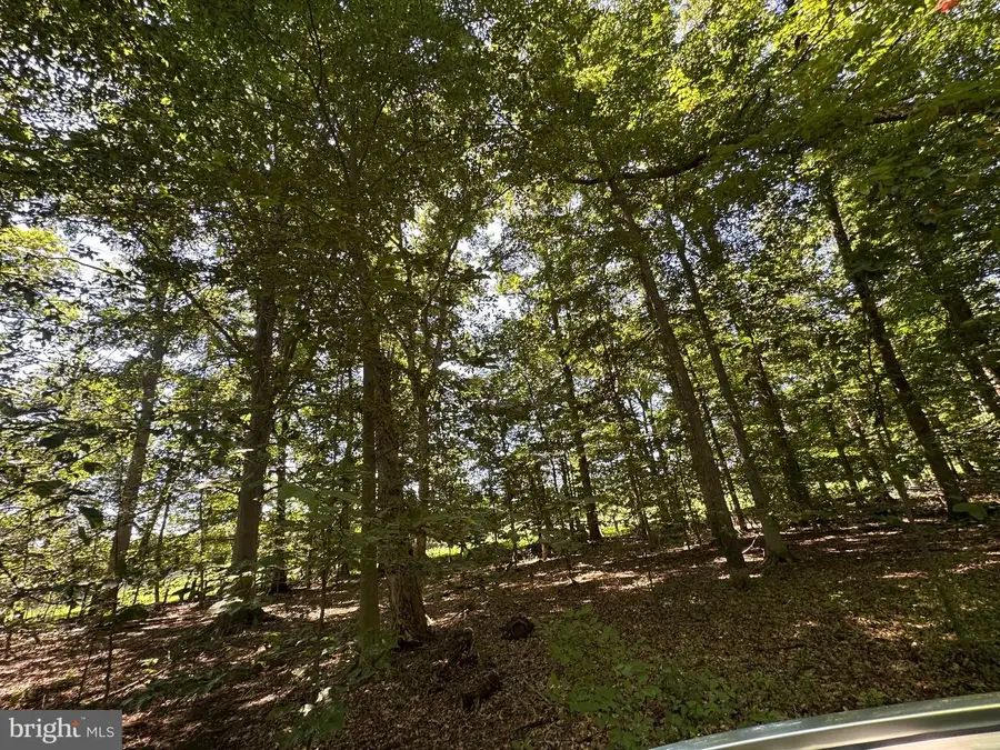 2014 Mount Ephraim Rd, Adamstown, MD 21710 - #3