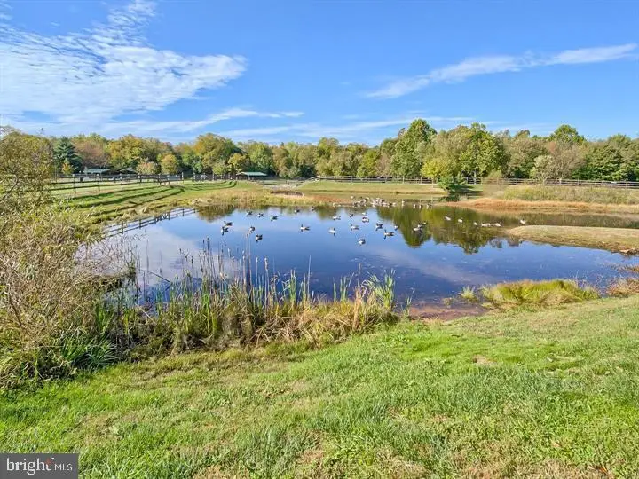 6506 F Wiltshire Dr #203, Frederick, MD 21703 - #3